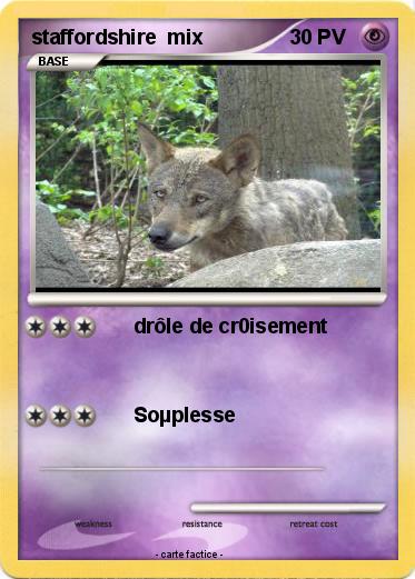 Pokemon staffordshire  mix