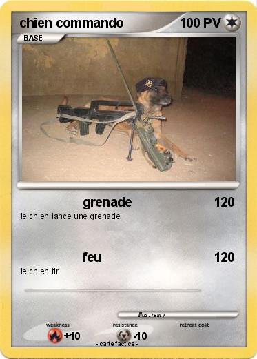 Pokemon chien commando