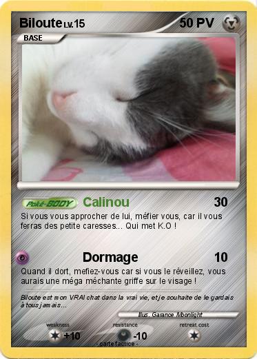 Pokemon Biloute