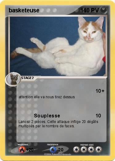 Pokemon basketeuse
