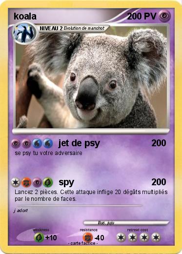Pokemon koala