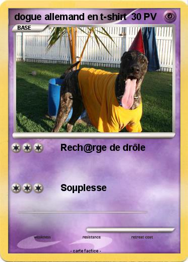 Pokemon dogue allemand en t-shirt