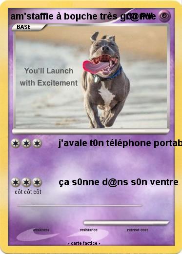 Pokemon am'staffie à boµche très gr@nde