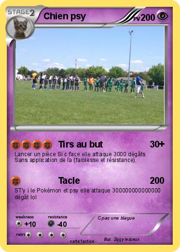 Pokemon Chien psy