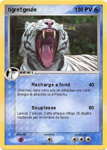 Pokemon tigre!!geule