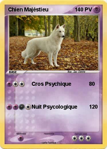 Pokemon Chien Majéstieu