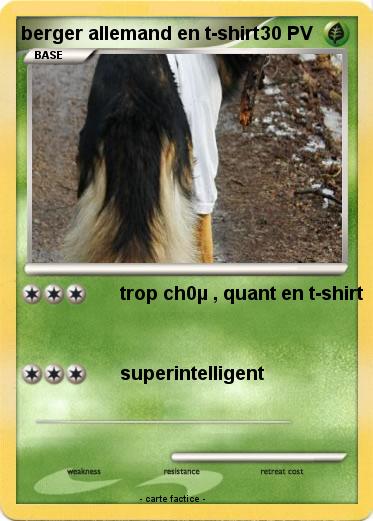 Pokemon berger allemand en t-shirt