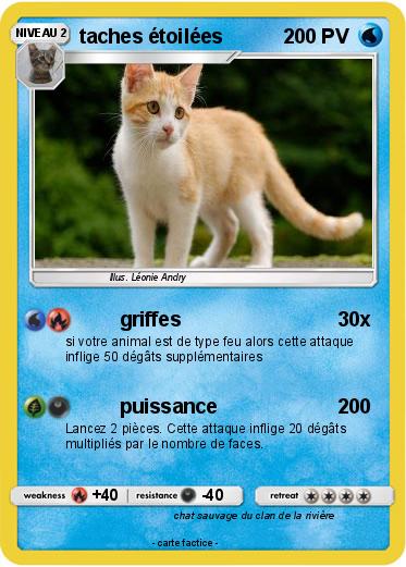 Pokemon taches étoilées