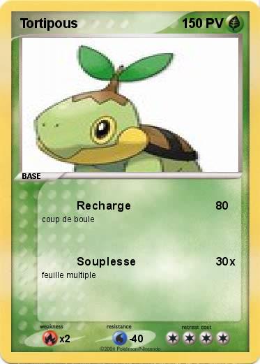 Pokemon Tortipous
