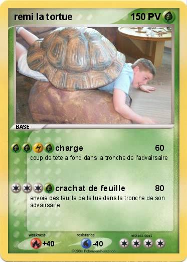 Pokemon remi la tortue