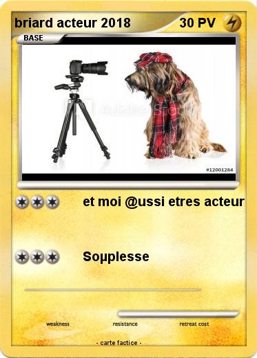 Pokemon briard acteur 2018