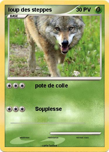Pokemon loup des steppes