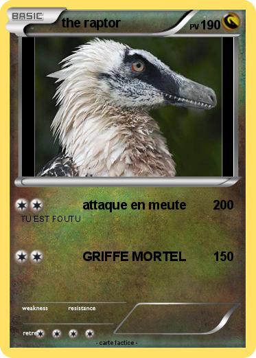 Pokemon the raptor