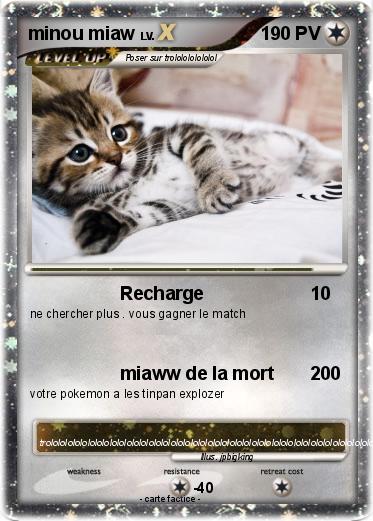 Pokemon minou miaw