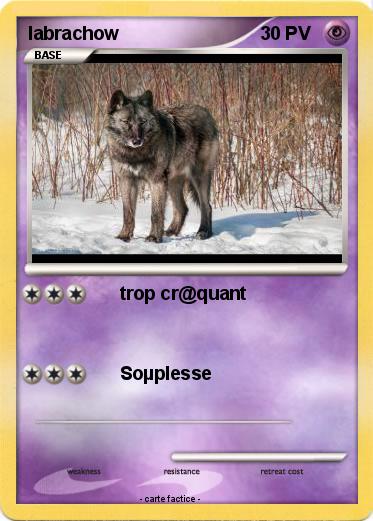 Pokemon labrachow