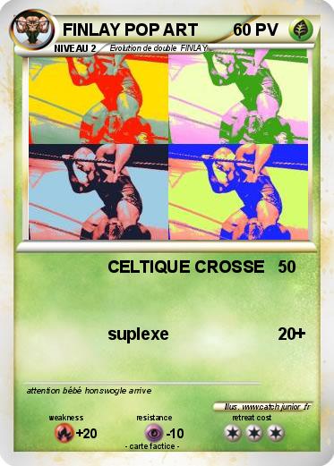 Pokemon FINLAY POP ART