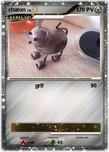 Pokemon chaton
