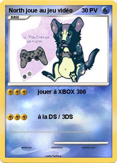 Pokemon North joue au jeu vidéo