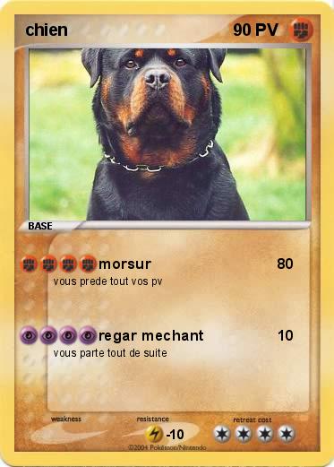 Pokemon chien
