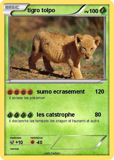 Pokemon tigro tolpo