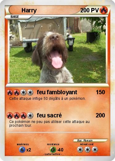 Pokemon Harry