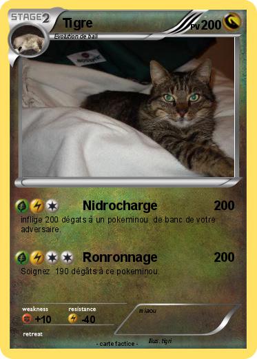 Pokemon Tigre