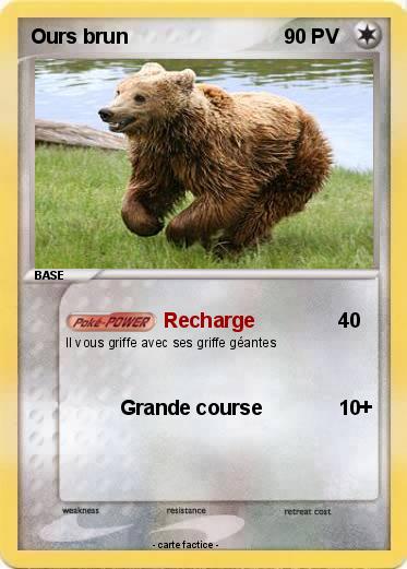 Pokemon Ours brun