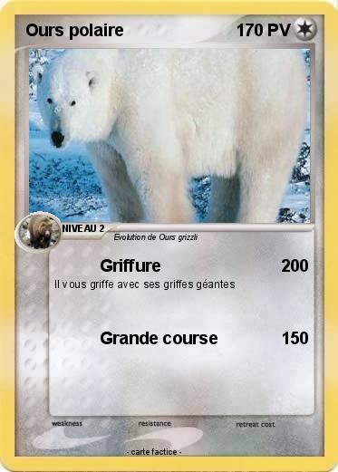 Pokemon Ours polaire