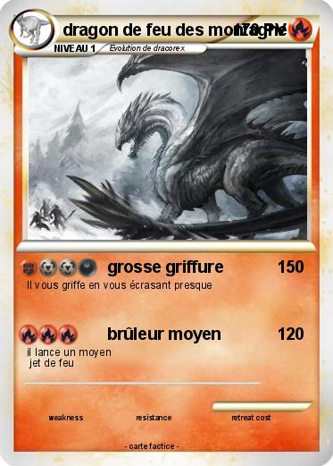 Pokemon dragon de feu des montagne