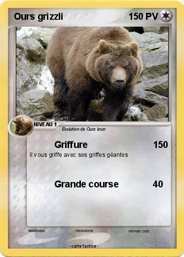 Pokemon Ours grizzli