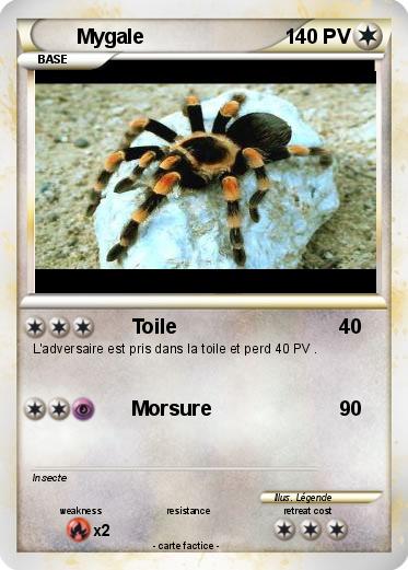 Pokemon Mygale
