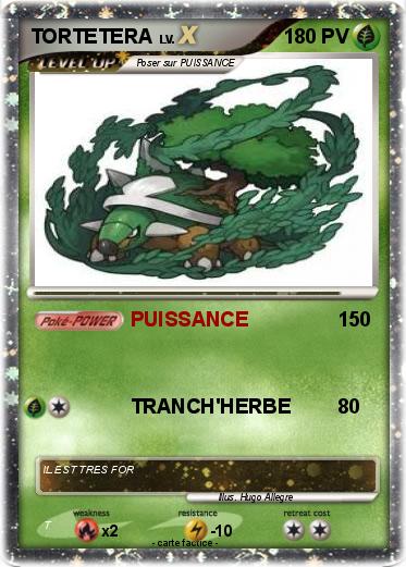Pokemon TORTETERA