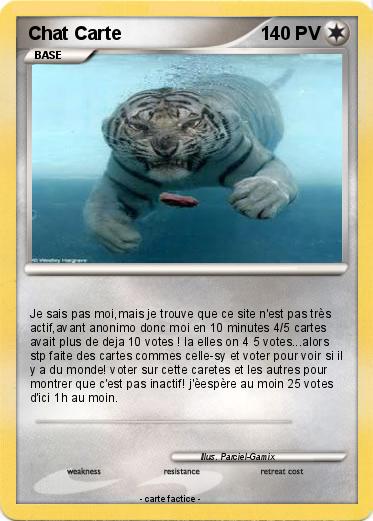 Pokemon Chat Carte