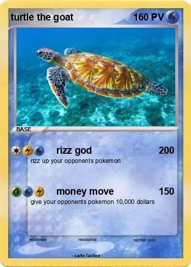 Pokemon turtle the goat