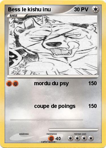 Pokemon Bess le kishu inu