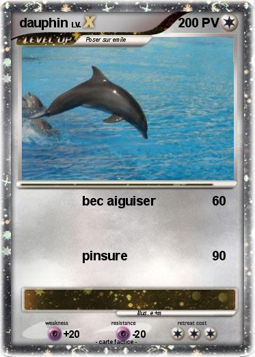 Pokemon dauphin