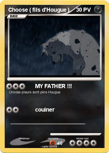 Pokemon Choose ( fils d'Hougue )