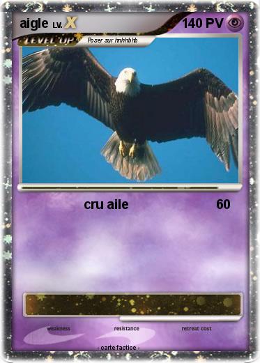 Pokemon aigle