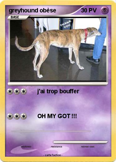Pokemon greyhound obèse