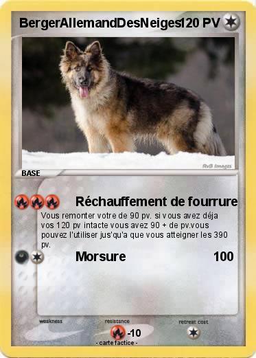 Pokemon BergerAllemandDesNeiges