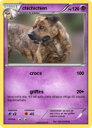Pokemon chichichien