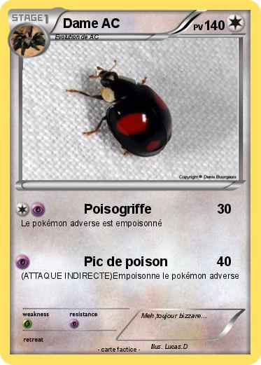 Pokemon Dame AC