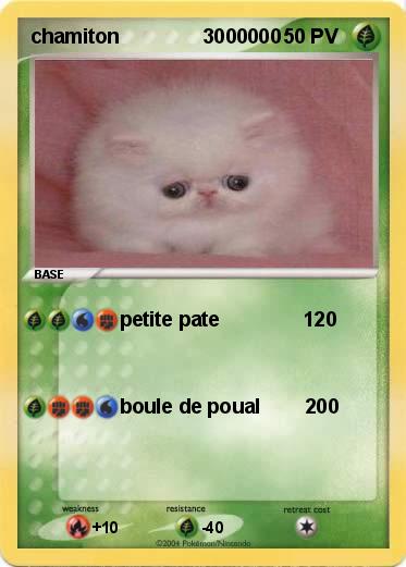 Pokemon chamiton               3000000