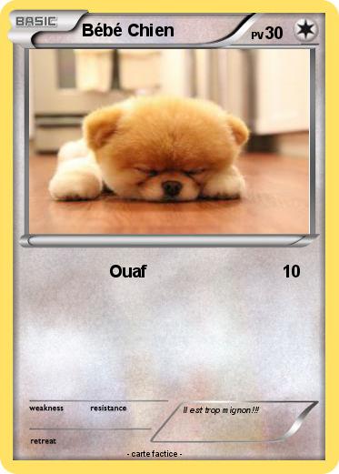 Pokemon Bébé Chien