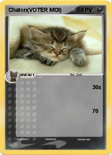 Pokemon Chaton(VOTER MOI)