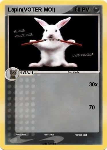 Pokemon Lapin(VOTER MOI)