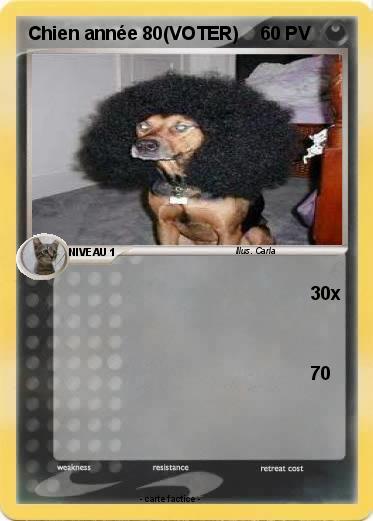 Pokemon Chien année 80(VOTER)