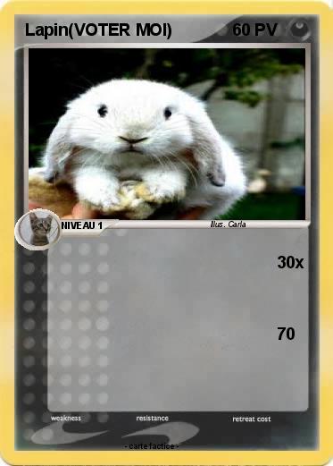 Pokemon Lapin(VOTER MOI)