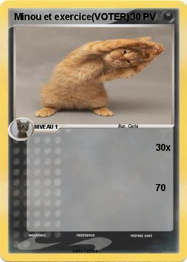 Pokemon Minou et exercice(VOTER)