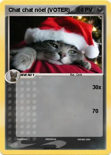 Pokemon Chat chat nöel (VOTER)